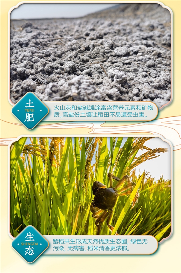 年度新米：隆平農場東北晶米10斤39.9元發(fā)車（蒸煮都好吃）