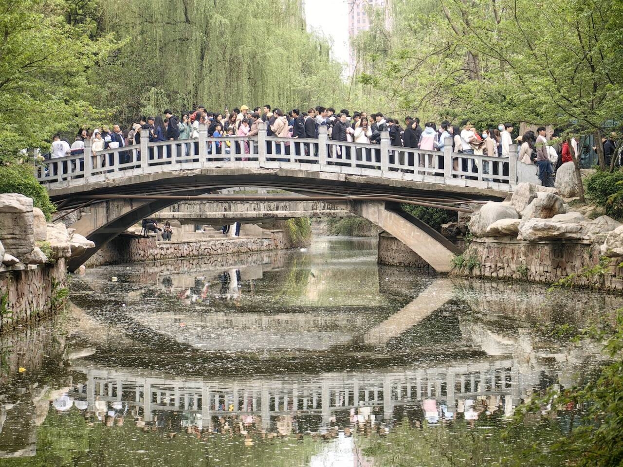 清明哪個景區(qū)看起來都像有1億人：天水、淄博受歡迎
