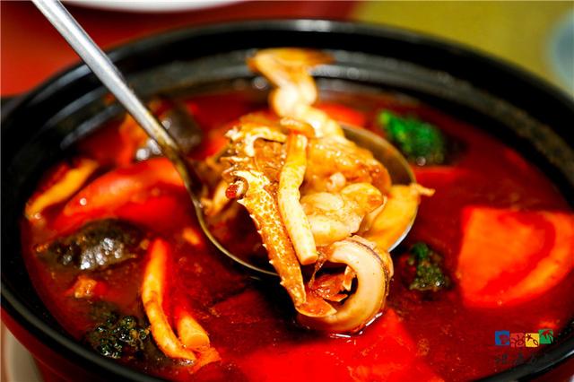 珠海外伶仃島有啥美味 這群美食評(píng)審團(tuán)都給你挑出來(lái)了（珠海外伶仃島有啥美味）(15)