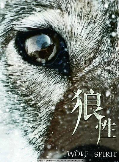 任正非發(fā)展華為的歷程，你學(xué)到了嗎（任正非發(fā)展華為的歷程）(7)