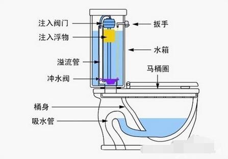 哪種馬桶不堵塞，水還不濺pp 賣了10年馬桶才明白（哪種馬桶不堵塞）(3)