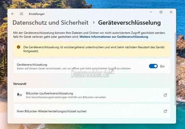 微軟會玩！Windows 11 24H2細(xì)節(jié)曝光：對數(shù)據(jù)默認(rèn)加密、影響SSD性能