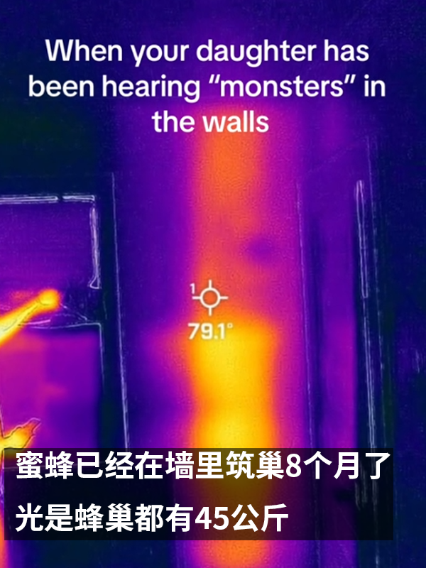 三歲女孩總說墻里有鬼：專業(yè)人士來了也被嚇一跳！