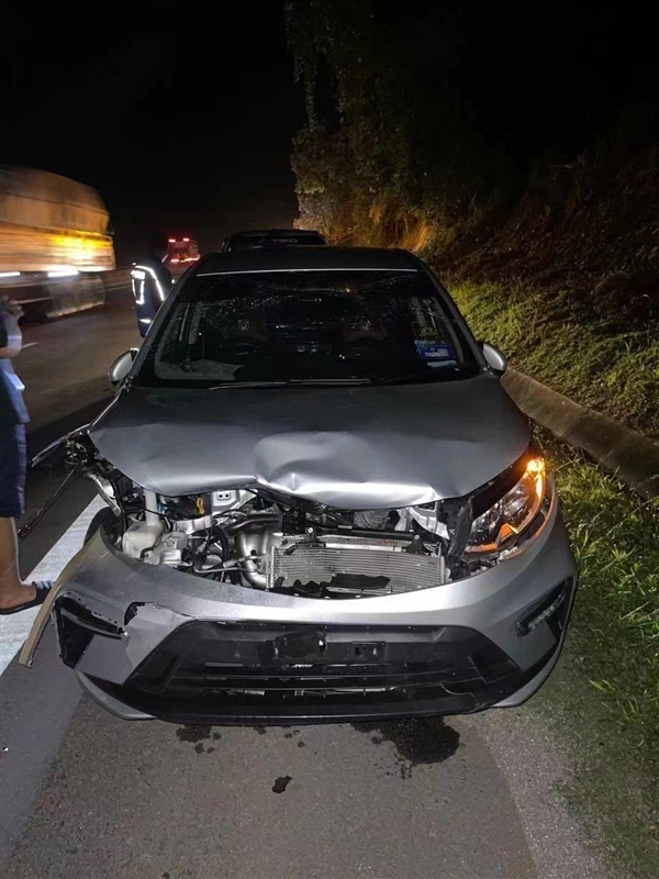 馬來西亞一只猛虎橫穿馬路時(shí)被撞死：行車記錄儀曝光