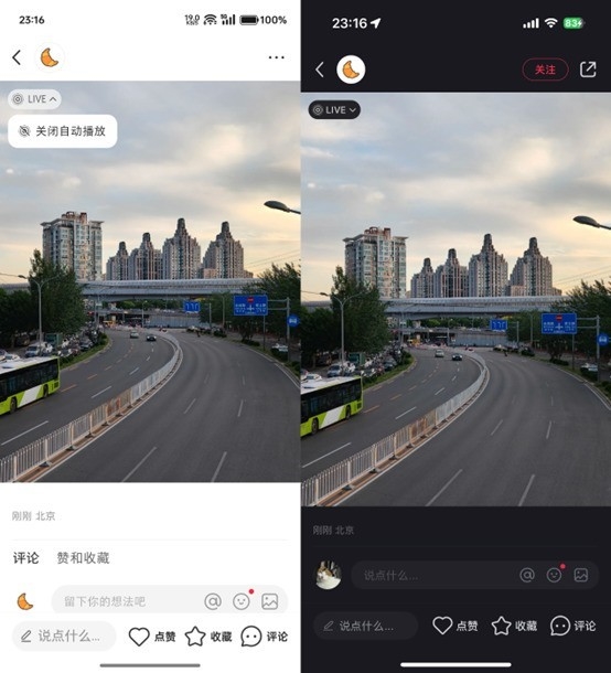 OPPO Reno12實況照片體驗：比iPhone更好玩
