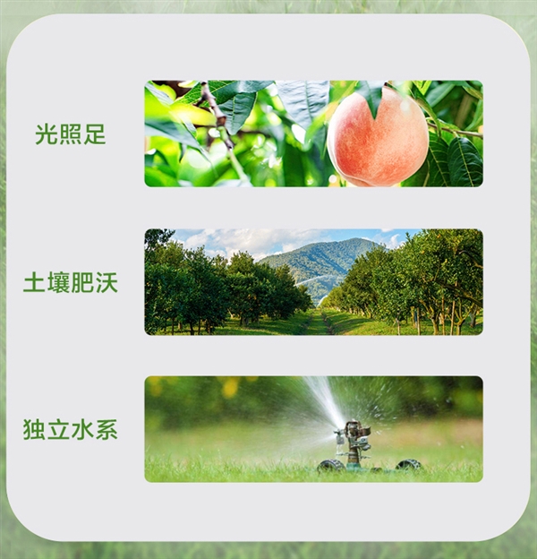 四種口味冰箱常備！匯源100%果汁大促：1升只賣9.9元
