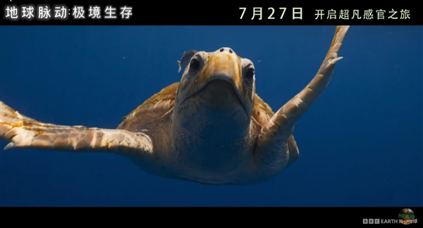 豆瓣9.7分紀(jì)錄片天花板！《地球脈動(dòng)》首部大電影國內(nèi)定檔7月27日：預(yù)告片發(fā)布