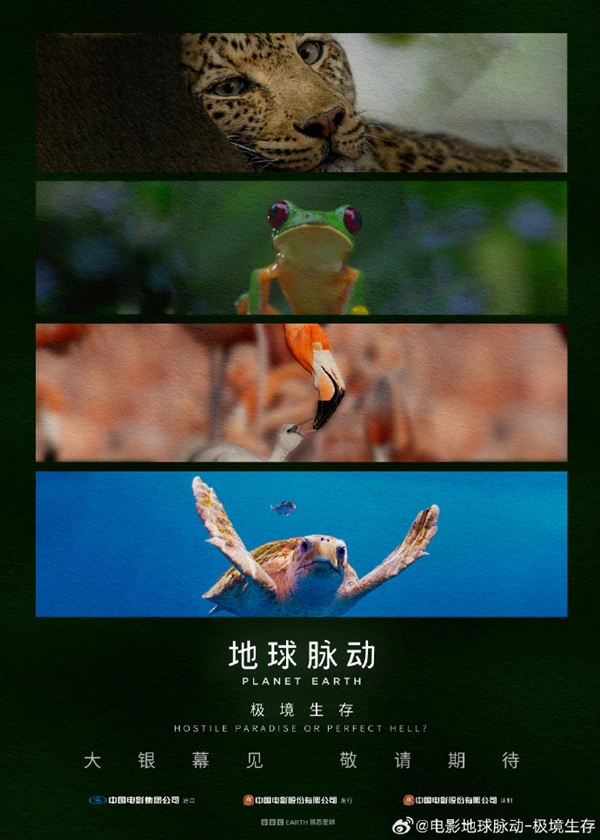 豆瓣9.7分紀(jì)錄片天花板！《地球脈動(dòng)》首部大電影國內(nèi)定檔7月27日：預(yù)告片發(fā)布