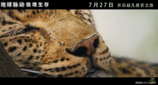 豆瓣9.7分紀(jì)錄片天花板！《地球脈動(dòng)》首部大電影國內(nèi)定檔7月27日：預(yù)告片發(fā)布