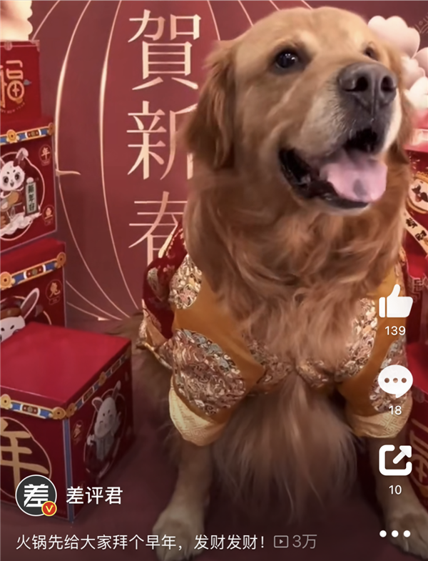 火了6年后 國(guó)潮開(kāi)始塌房了