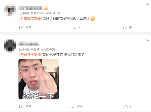 超10萬人觀看！2500萬粉絲網(wǎng)紅聽泉鑒寶復(fù)播 網(wǎng)友：電子榨菜回歸