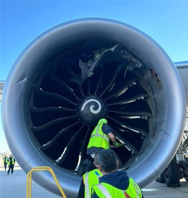 美國一波音787客機(jī)發(fā)動機(jī)吸入行李集裝箱 事故原因太巧合