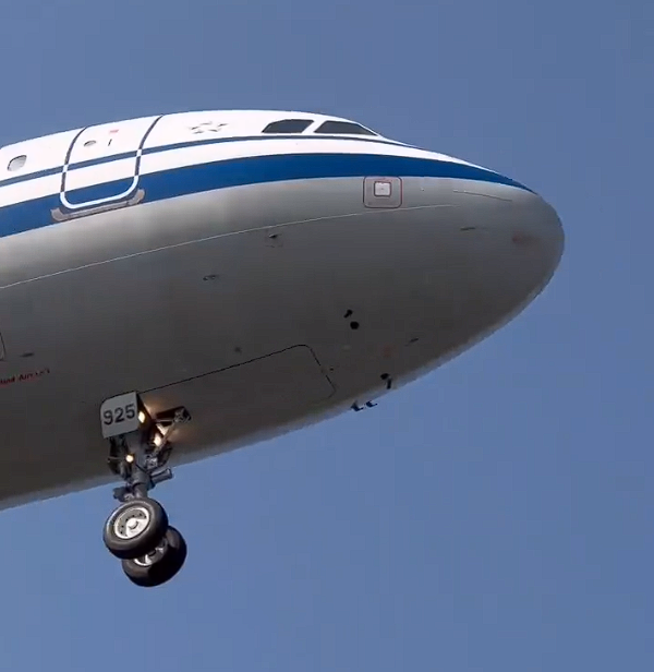 國航一飛機(jī)降落時(shí)撞到鳥群：機(jī)頭可見清晰血跡