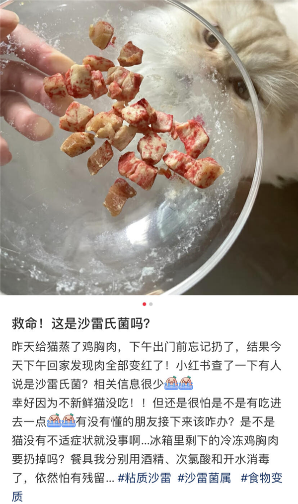 好可怕！為什么馬桶里總是有一圈紅色啊啊啊