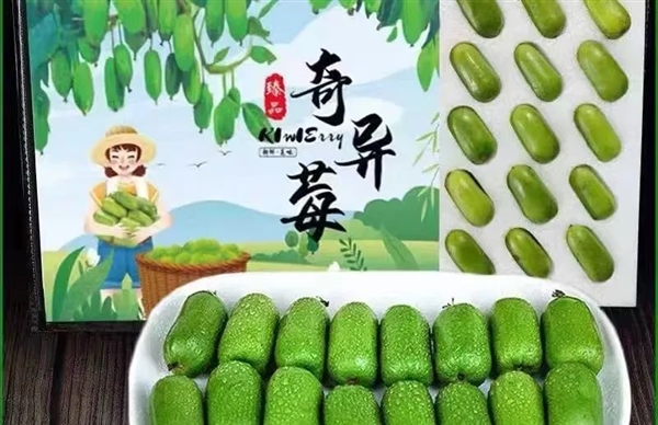 維C含量是橙子6倍！這種長得像棗的水果 竟是獼猴桃