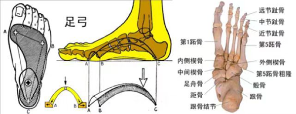 雪地靴又上熱搜！經(jīng)常穿真的很傷腳 醫(yī)生緊急提醒
