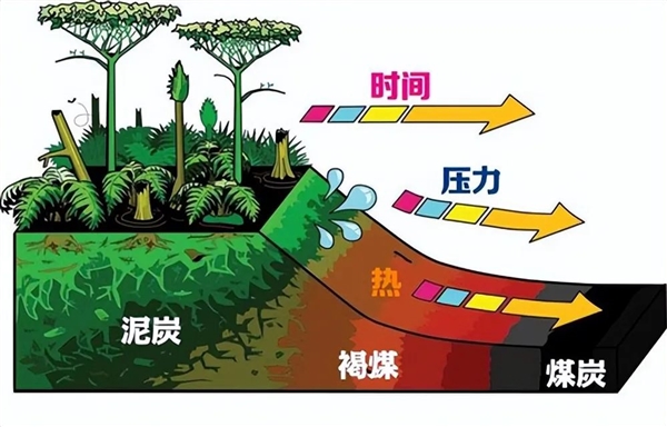 亞洲大露天煤礦 百米厚煤層足足開采了118年！古代植物咋都埋那了